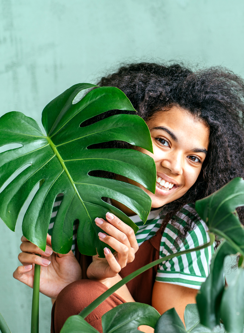 This image for Image Layouts addon