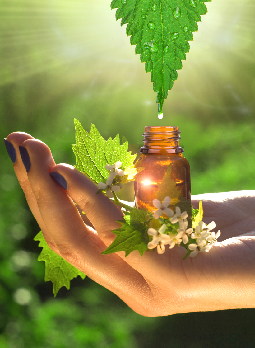 This image for Image Layouts addon